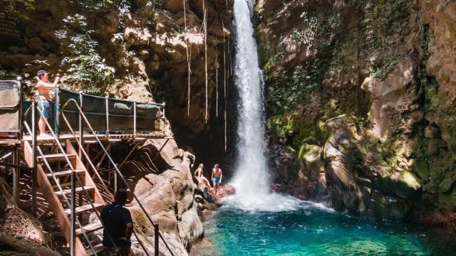 Combo: Lunch + Oropendola waterfall