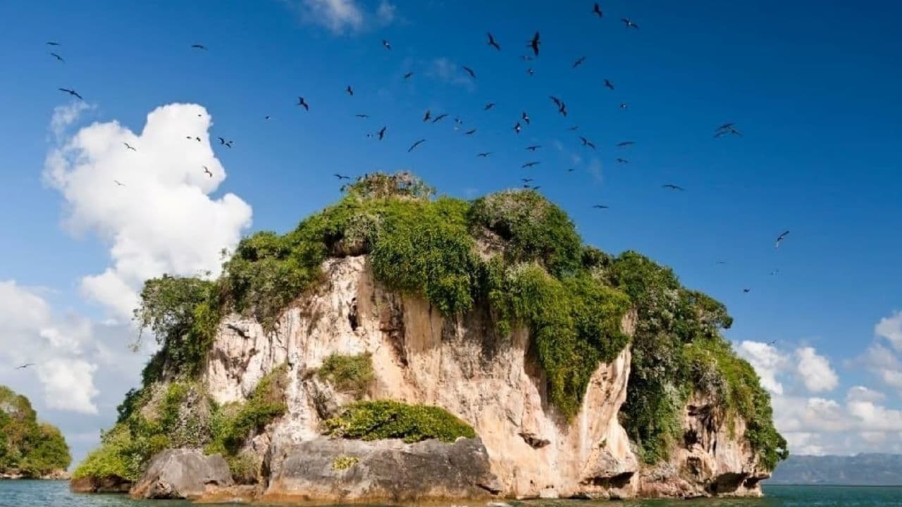Samana: El Limon + Cayo Levantado with Lunch Included