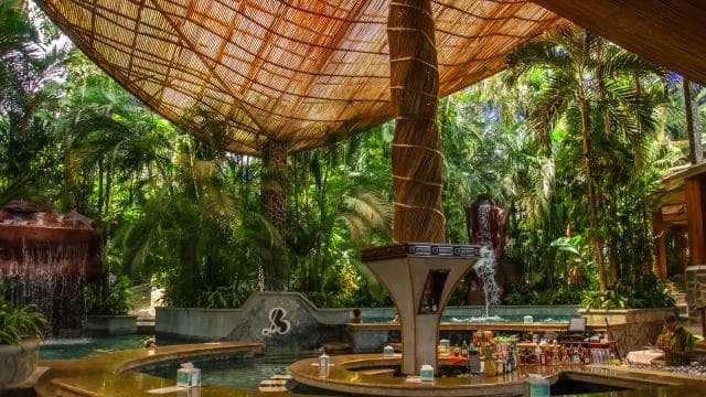 Costa Rica: Baldi Hot Springs Day Pass with Optional Meals