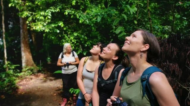 Corcovado National Park: Guided Hiking Tour - Full Day