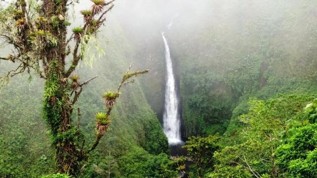 San José: Arenal Volcano, Hot Springs, & Zip Lining w/ Meals