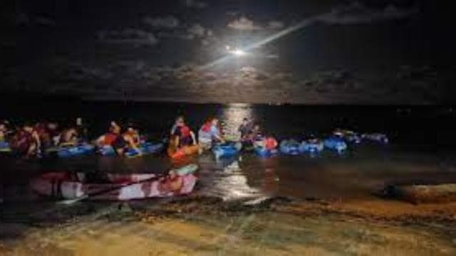 Fajardo: Bioluminescent Lagoon Kayak or Full Moon Kayak Tour