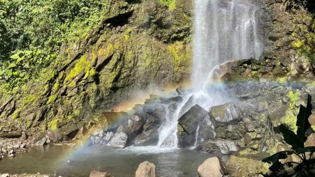 Liberia: Rainforest and Waterfalls Horseriding Tour