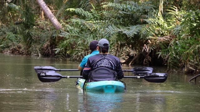 Quepos: Kayak Tour in the Mangroves Near Manuel Antonio Park