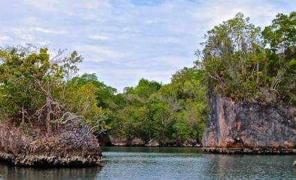 Los Haitises: Hiking and Kayaking natural pools Tour & Lunch