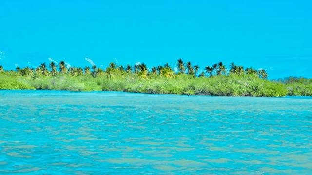 Punta Cana: Catalina Island Day Trip with Snorkeling