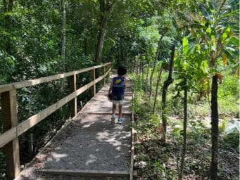 Damajagua Waterfalls Private Tour with Lunch