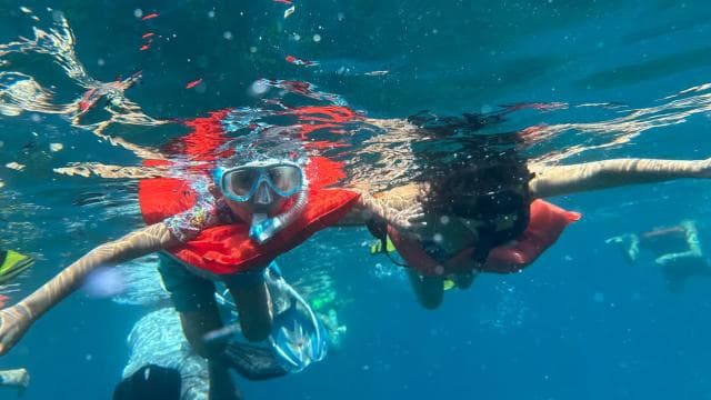 Isla del Caño: Snorkeling