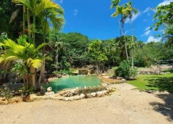Private Samaná: Los Haitises Park, Caño Hondo & Yanigua Tour