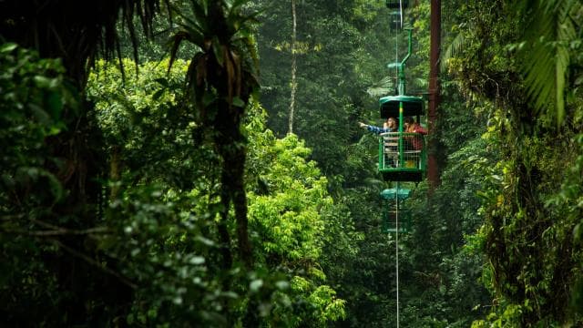 From San Jose: Rainforest Atlantic Aerial Tram Tour