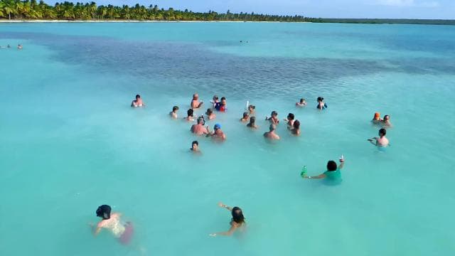 Saona Island Day Trip + Lunch + Open Bar from Punta Cana