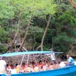 From Punta Cana: Los Haitises and Redonda Mountain Day Trip