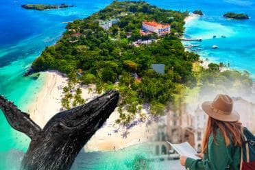From Samaná: Whale Watching and Cayo Levantado Island Tour