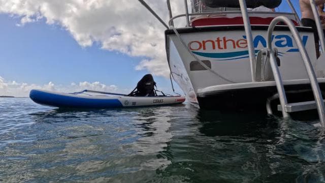 Vieque: Power Boat Turtle Snorkel and Beach Tour with Lunch