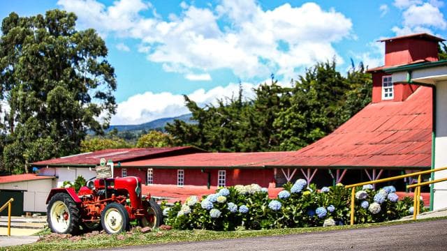 Alajuela: Coffee Plantation Guided Tour with Tasting