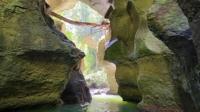 From San Juan: Indian Cave and Water Spring Adventure