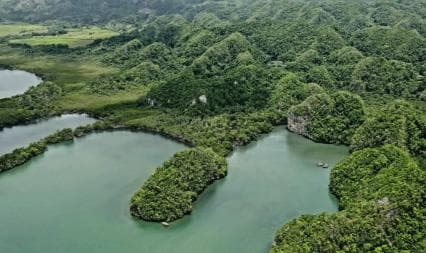 Miches: Los Haitises, Transfer, Walking & Boat tour.