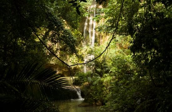 El Limón: Waterfall Hiking Tour with Lunch