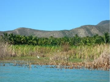 Barahona: Lake Enriquillo Discovery Tour