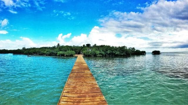 Mystic Waters Under the Sun & Stars Bioluminescent Bay Swim