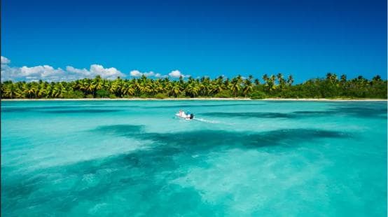 Punta Cana: Catalina Island Snorkeling and lunch Day Trip