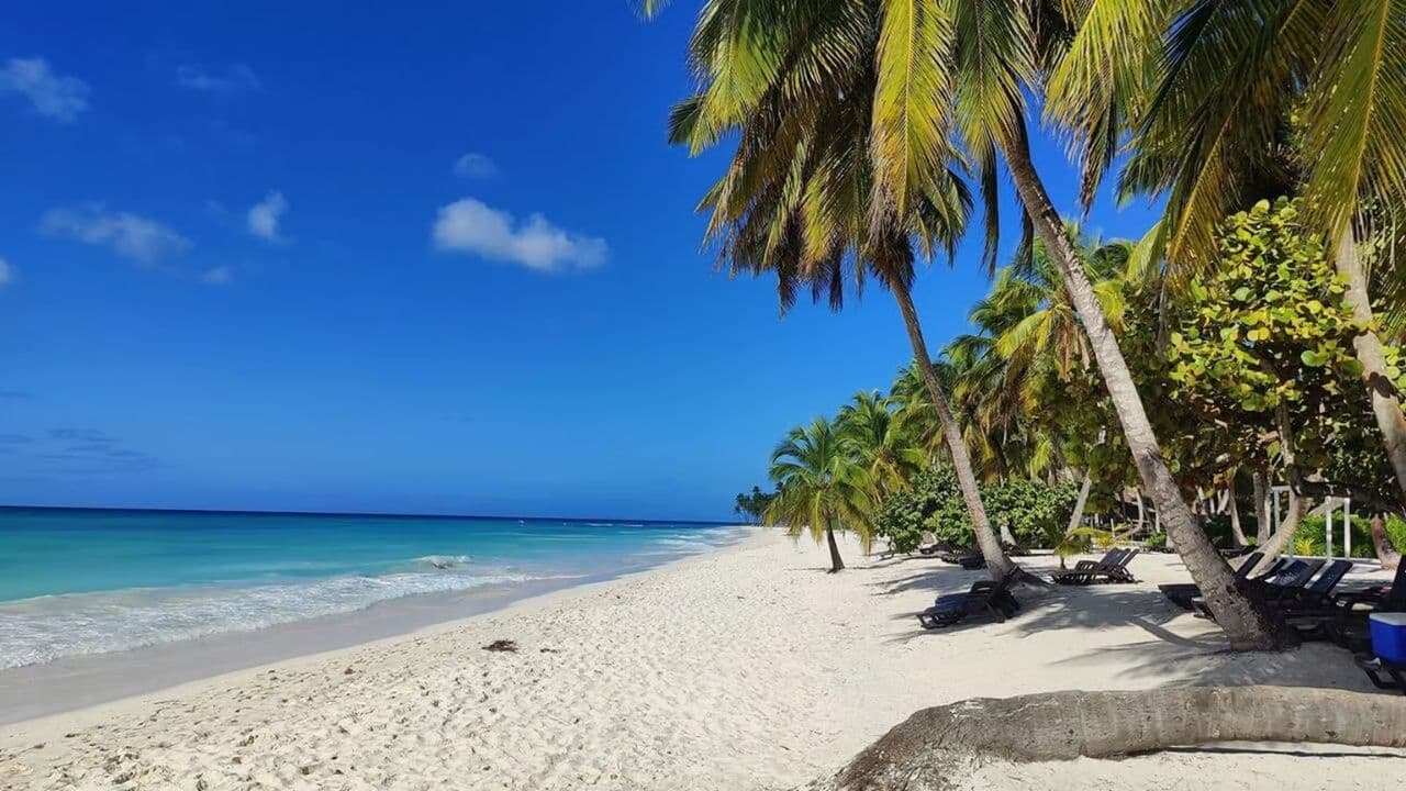 Full-Day Saona Island Tour by Speedboat