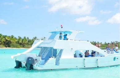 From Santo Domingo: Whale Watching & Cayo Levantado