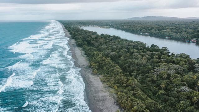 From San Jose: 3-Day Tortuguero National Park Excursion