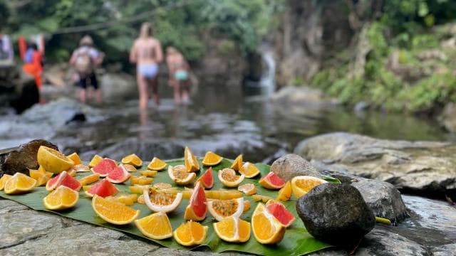Secret Path to Tinajas Falls (El Yunque Rainforest)