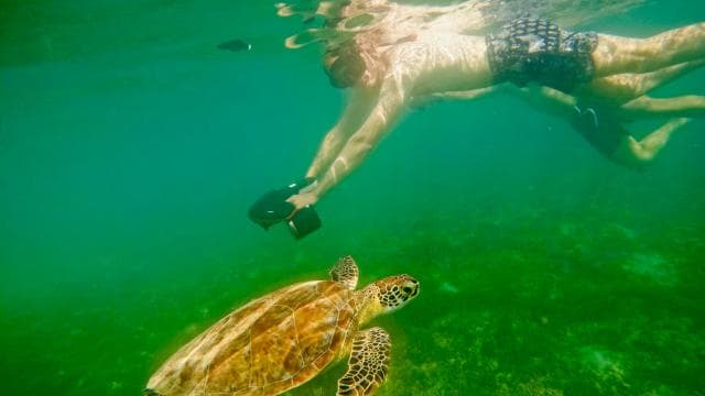 San Juan: Jet Snorkeling Adventure with Sea Turtle Spotting