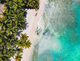 Punta Cana: Samana Whale Watching, Cayo Levantado & Lunch