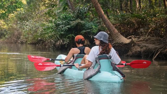 Quepos: Kayak Tour in the Mangroves Near Manuel Antonio Park