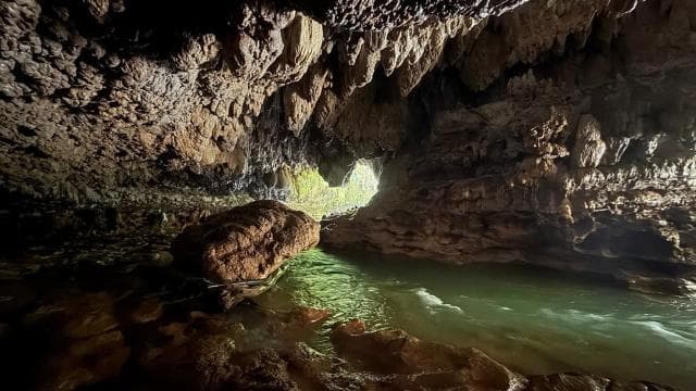 Puerto Rico: Tanama River Tubing & Cave Adventure in Arecibo