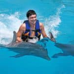 Punta Cana: Dolphin Discovery Swims and Encounters