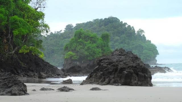 Manuel Antonio: Discover the tropical forests & white-sand