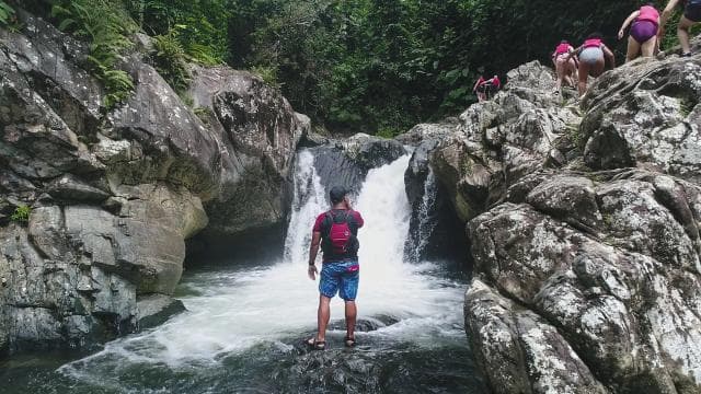 From San Juan: El Yunque Rainforest & Bio Bay Kayak Combo
