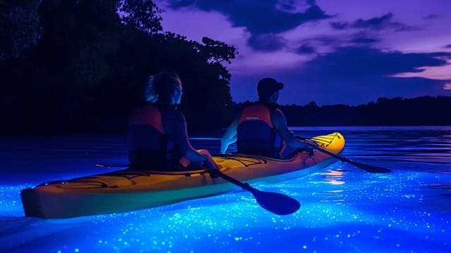 Vieques: Bioluminescent Bay Full Clear Kayaking