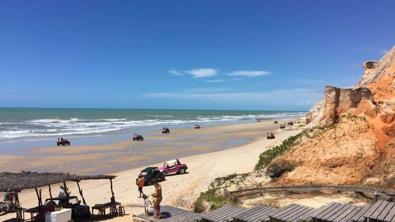 Dolphin Encounter for Dominican Residents