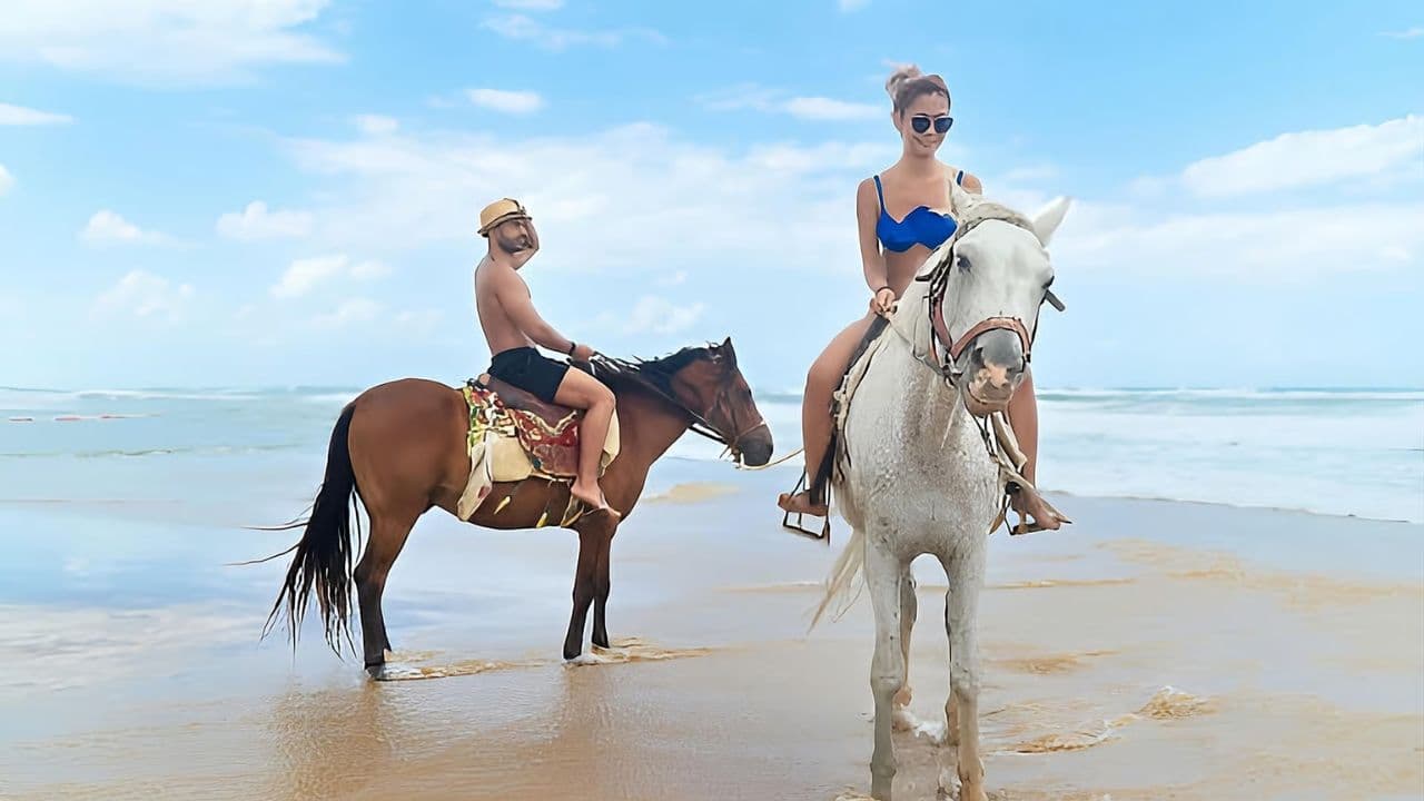 Macao Beach & Forest Horseback Adventure