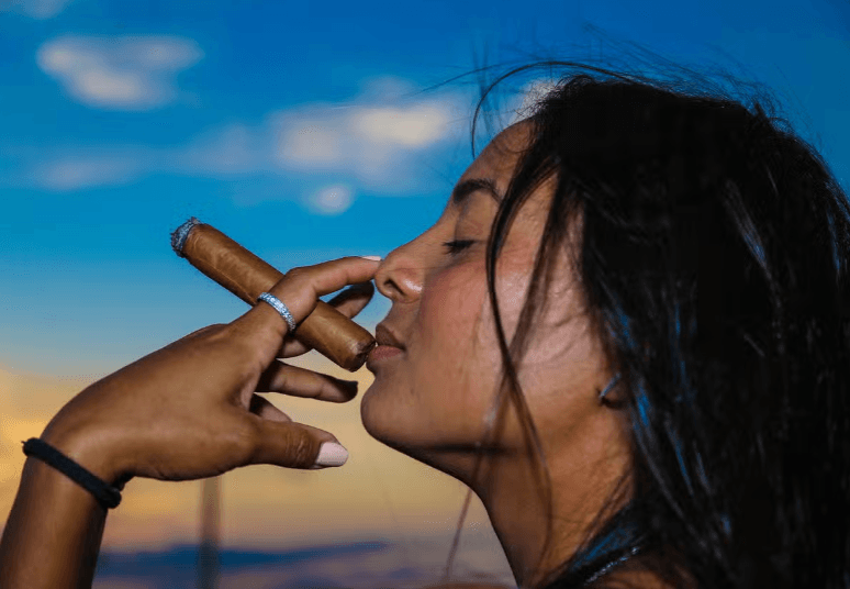 Cuban Cigar Workshop