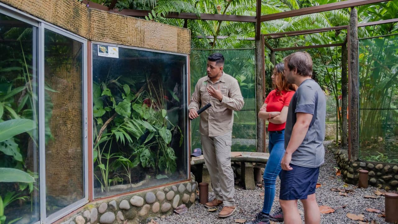 Jungle Eco Tour