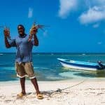 Saona Island – ¡Full Day Open Bar, Lunch and Round Trip!