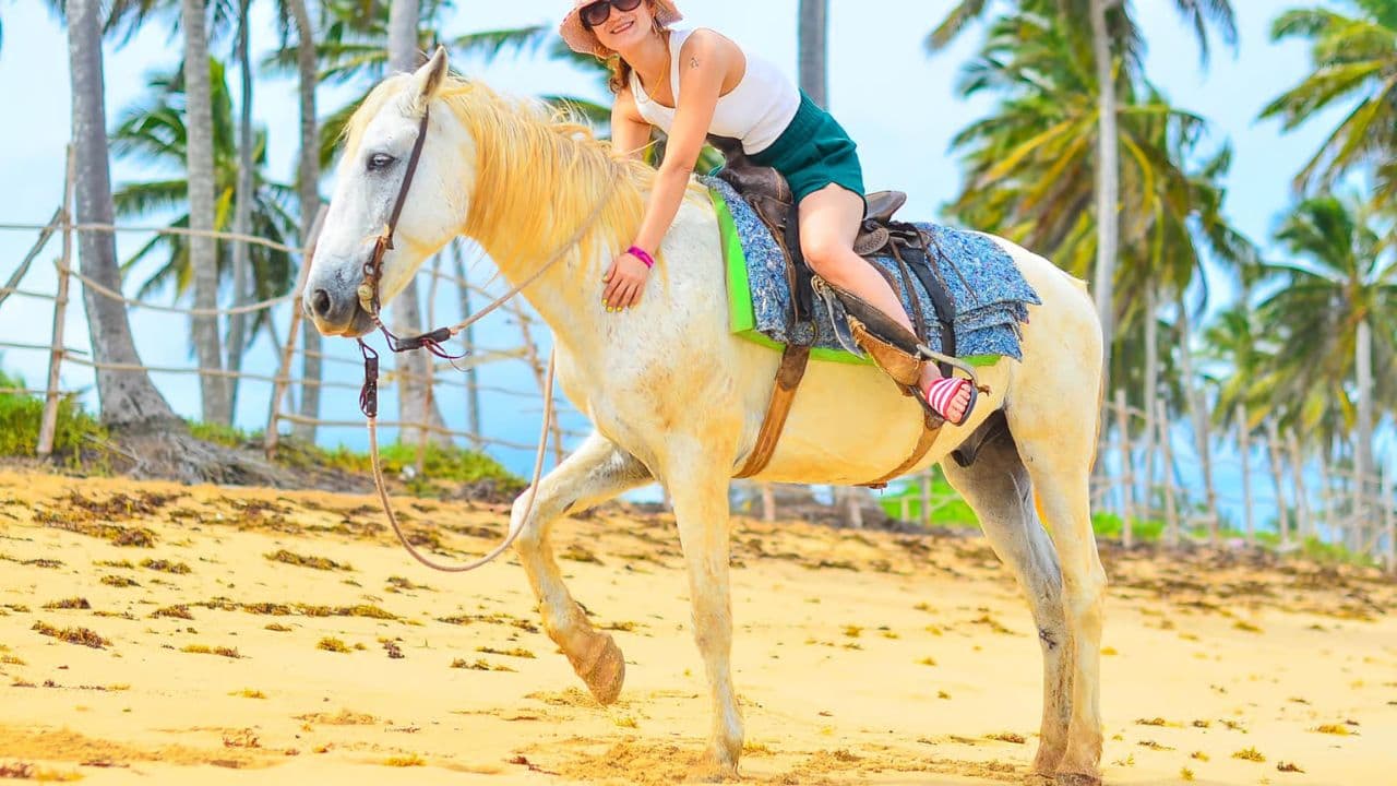 Macao Beach & Forest Horseback Adventure