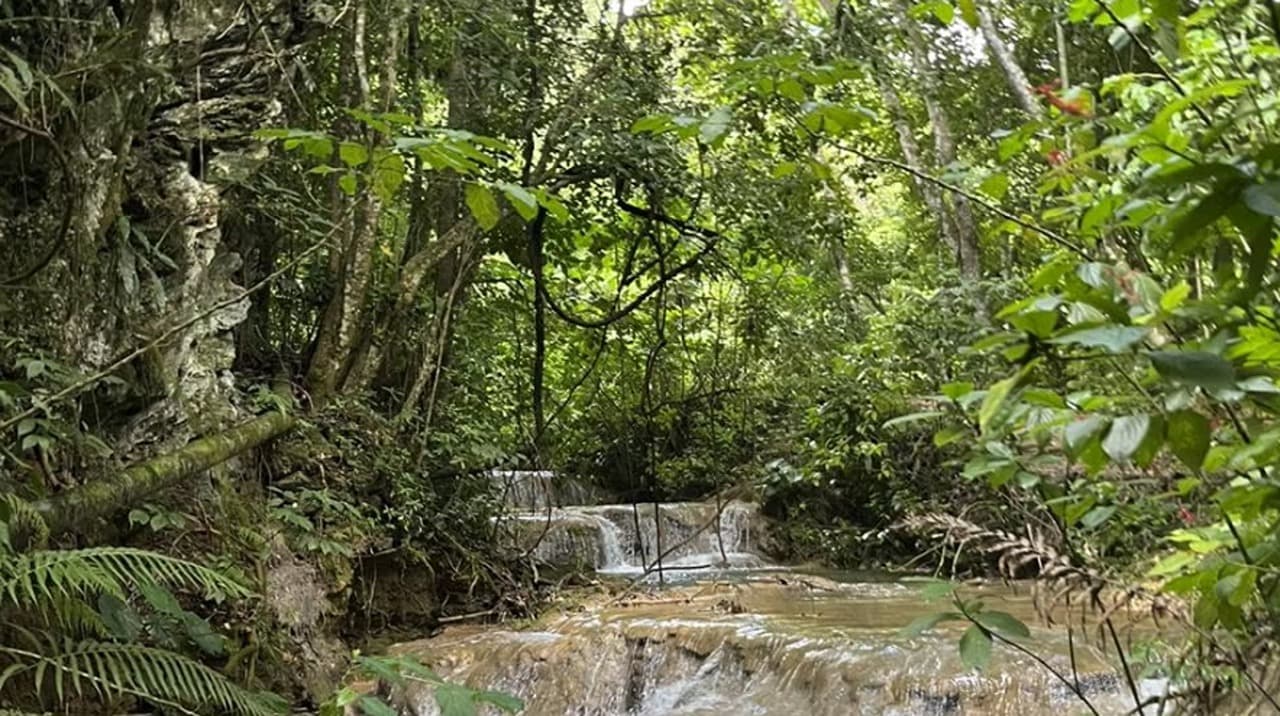 El Nicho Waterfalls Excursion