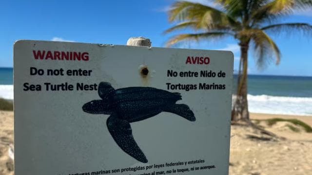 San Juan - Arecibo: midwest expedition waterfalls and beach