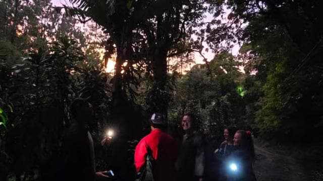 Monteverde: Tropical Forest Night Tour