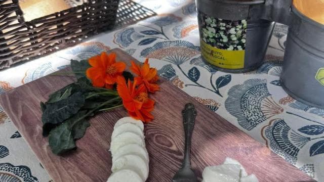 Carolina: Farm-to-Table Tasting with Lunch and Goat Milking