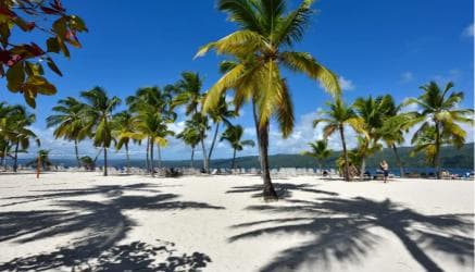 Punta Cana: Samaná Cayo Levantado & El Limón Waterfall Tour
