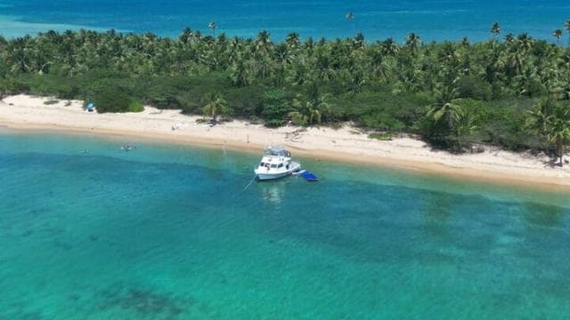 Vieque: Power Boat Turtle Snorkel and Beach Tour with Lunch