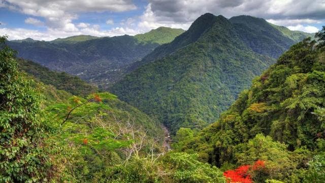 Puerto Rico: UTV and Can-Am Sightseeing Tours